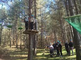 Parco Avventura Alberolandia